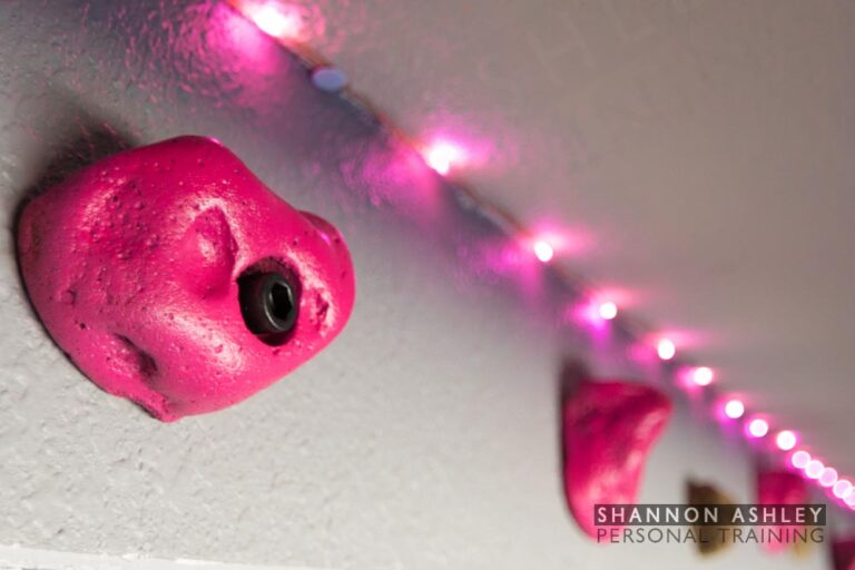 Climbing wall overhang. Shannon Ashley Personal Training, Encinitas.