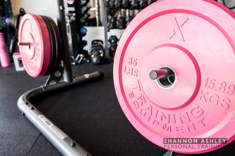 Squat and bench press rack. Shannon Ashley Personal Training, Encinitas.